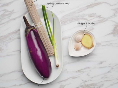 Stove Grilled Eggplant Soba (Vegan) (Serves 2)
